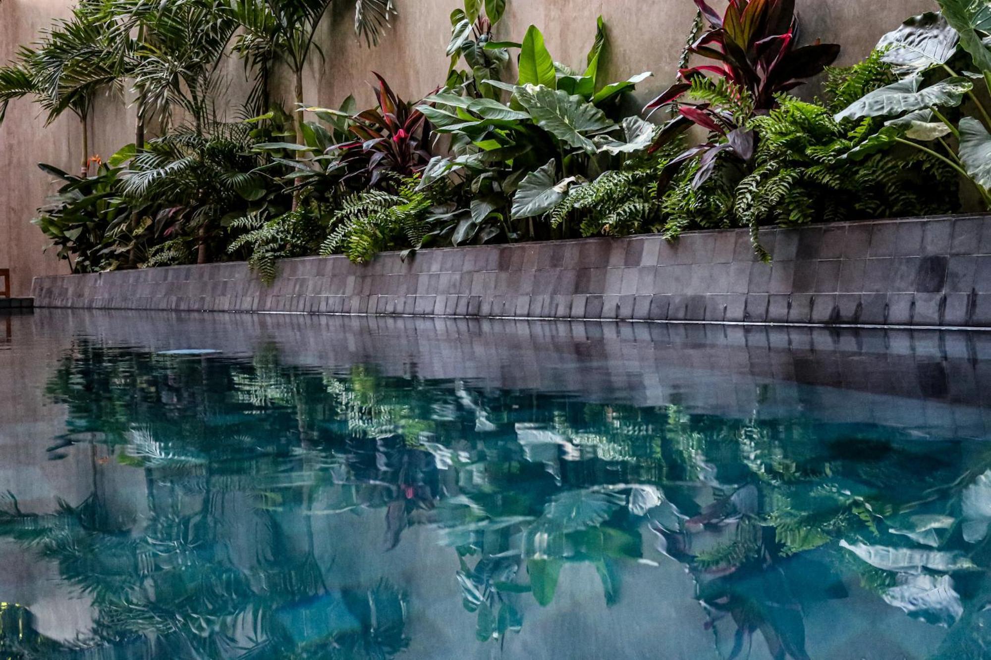 Brisas de Zicatela Casa Toro La Punta酒店 外观 照片
